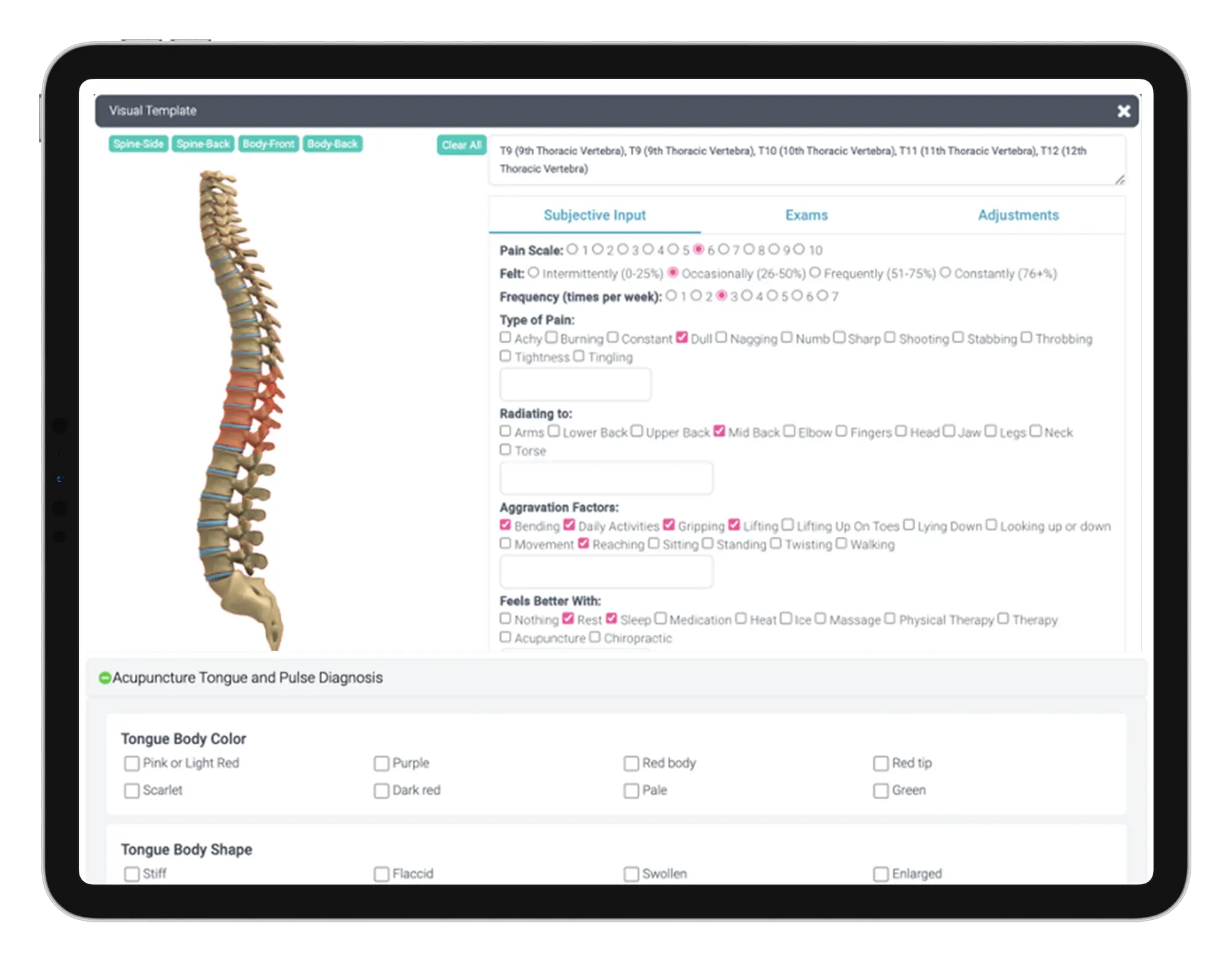 Customizable Charting Bridges Medical and Wellness Services